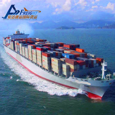 International Forwarder Sea Freight Forwarding Business LCL From China to Fremantle
