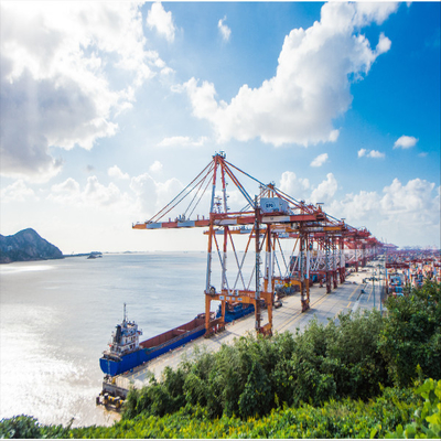 Professional International Sea Freight Shipping To Germany Uk Usa France Ddp China Dropshipping Agent