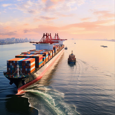 International Forwarder Sea Freight Forwarding Business LCL From China to Fremantle