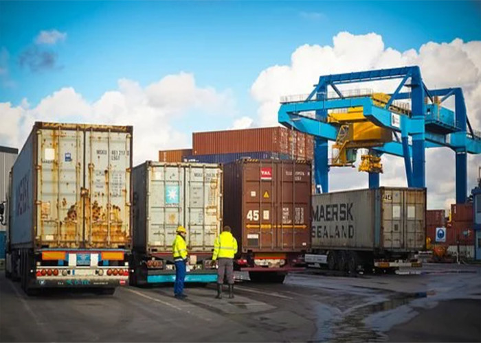 LCL International Express Courier , DHL UPS Shipping From China To USA Canada